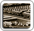 hist04.gif